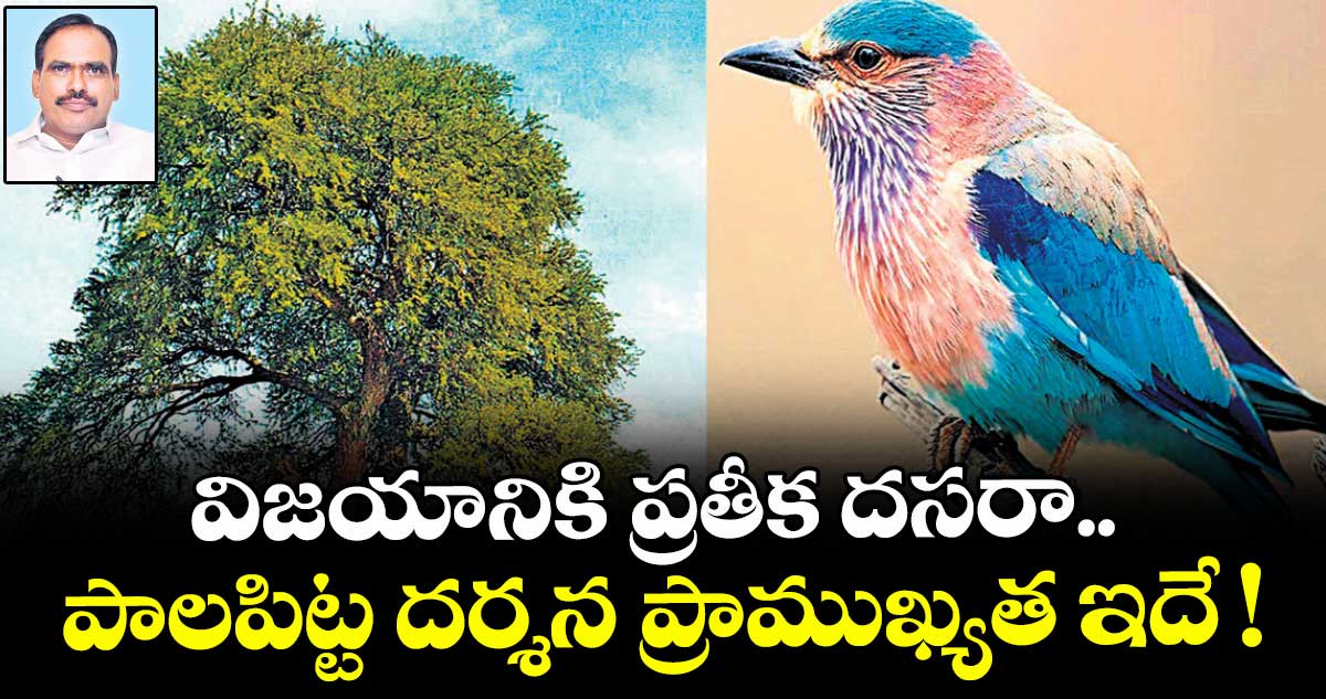 విజయానికి ప్రతీక దసరా.. పాలపిట్ట దర్శన ప్రాముఖ్యత ఇదే !