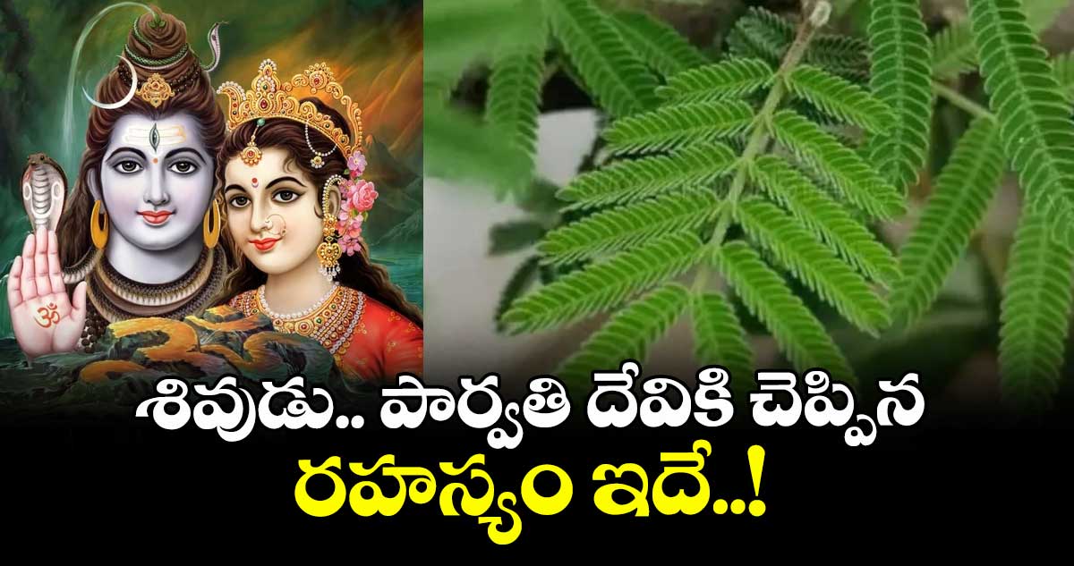 Dasara 2025: శివుడు.. పార్వతి దేవికి చెప్పిన రహస్యం ఇదే..!