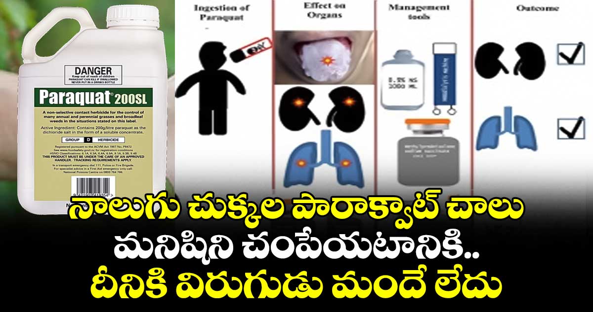 నాలుగు చుక్కల పారాక్వాట్ చాలు మనిషిని చంపేయటానికి.. దీనికి విరుగుడు మందే లేదు