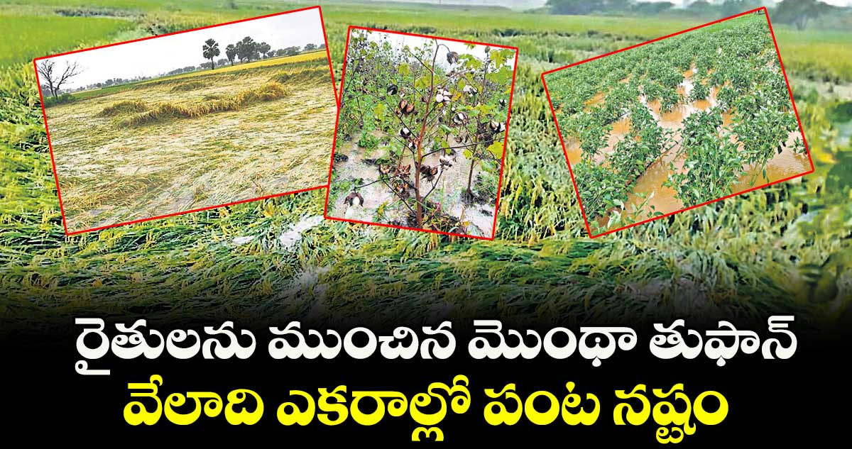 రైతులను ముంచిన మొంథా తుఫాన్ ..వేలాది ఎకరాల్లో పంట నష్టం