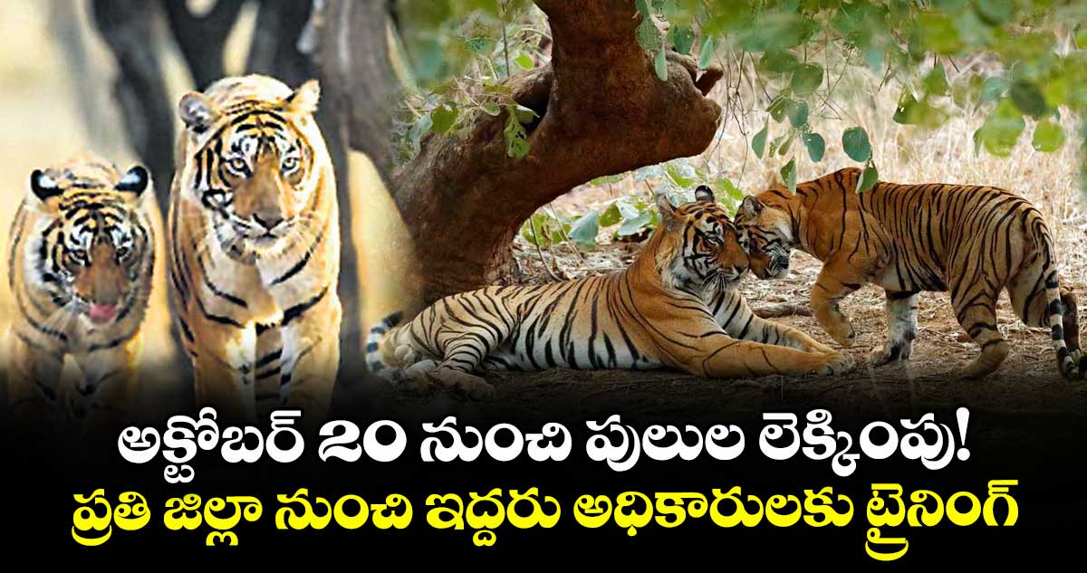అక్టోబర్ 20 నుంచి పులుల లెక్కింపు! ప్రతి జిల్లా నుంచి ఇద్దరు అధికారులకు ట్రైనింగ్