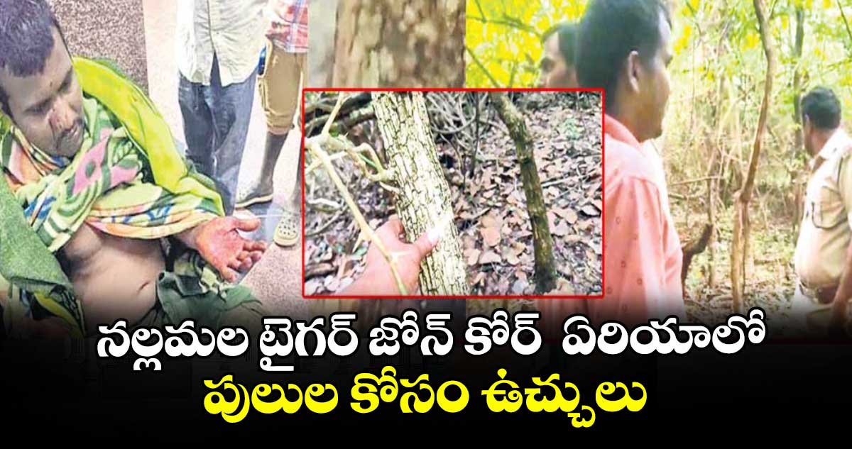 నల్లమల టైగర్‌‌ జోన్ కోర్  ఏరియాలో పులుల కోసం ఉచ్చులు