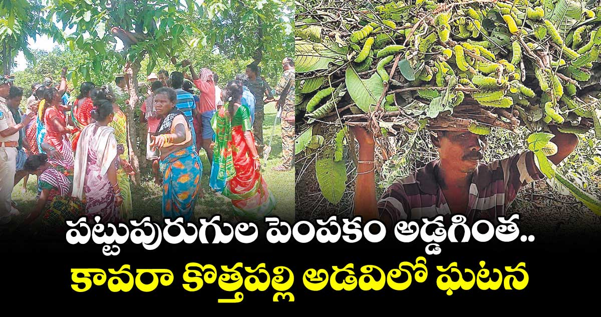  పట్టుపురుగుల పెంపకం అడ్డగింత.. కావరా కొత్తపల్లి అడవిలో ఘటన
