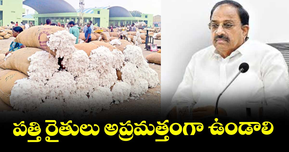 పత్తి రైతులు అప్రమత్తంగా ఉండాలి : తుమ్మల