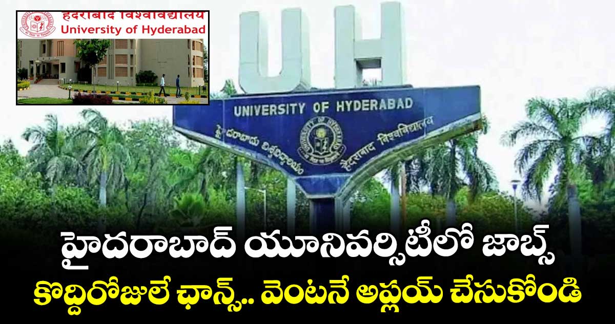 హైదరాబాద్ యూనివర్సిటీలో జాబ్స్.. కొద్దిరోజులే ఛాన్స్.. వెంటనే అప్లయ్ చేసుకోండి..
