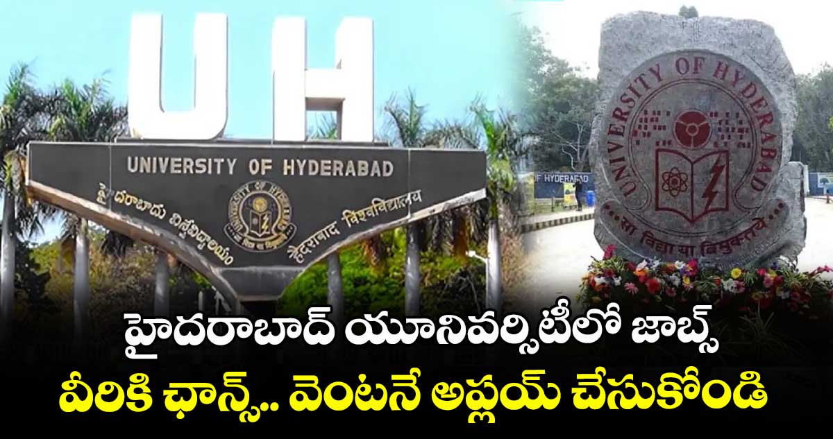 హైదరాబాద్ యూనివర్సిటీలో జాబ్స్.. వీరికి ఛాన్స్.. వెంటనే అప్లయ్ చేసుకోండి..  