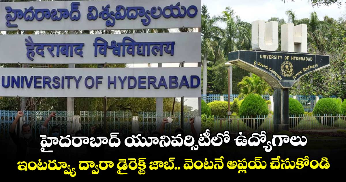 హైదరాబాద్ యూనివర్సిటీలో ఉద్యోగాలు.. ఇంటర్వ్యూ ద్వారా డైరెక్ట్ జాబ్.. వెంటనే అప్లయ్ చేసుకోండి.. 