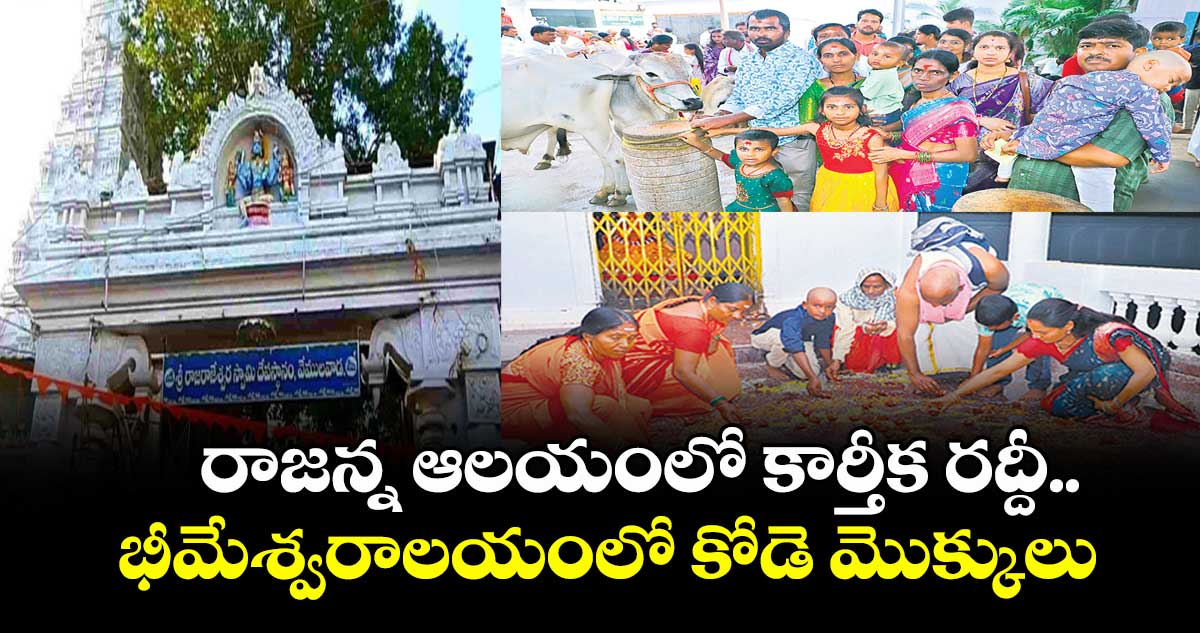 రాజన్న ఆలయంలో కార్తీక రద్దీ.. భీమేశ్వరాలయంలో కోడె మొక్కులు
