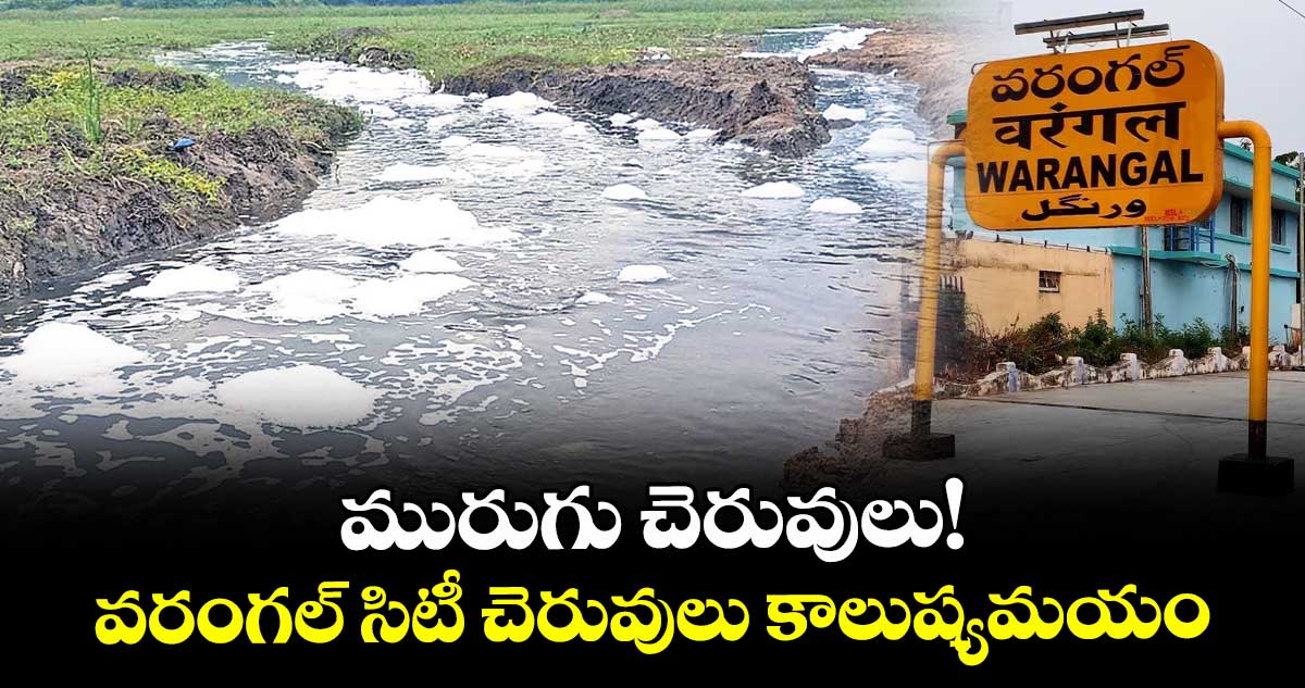 మురుగు చెరువులు! ..వరంగల్ సిటీ చెరువులు కాలుష్యమయం
