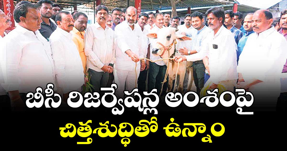 బీసీ రిజర్వేషన్ల అంశంపై చిత్తశుద్ధితో ఉన్నాం : విప్ ఆది శ్రీనివాస్