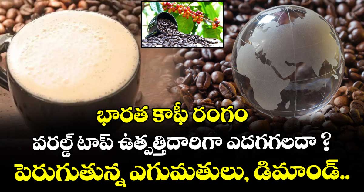 భారత కాఫీ రంగం వరల్డ్ టాప్ ఉత్పత్తిదారిగా ఎదగగలదా ? పెరుగుతున్న ఎగుమతులు, డిమాండ్..