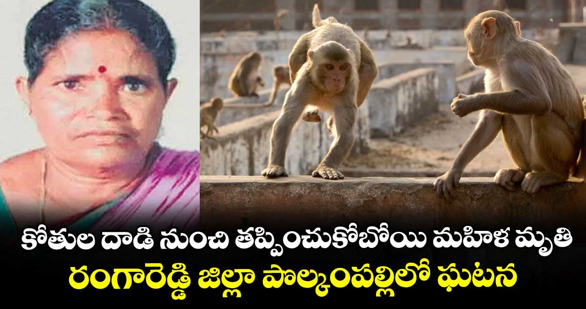 కోతుల దాడి నుంచి తప్పించుకోబోయి మహిళ మృతి.. రంగారెడ్డి జిల్లా పొల్కంపల్లిలో ఘటన