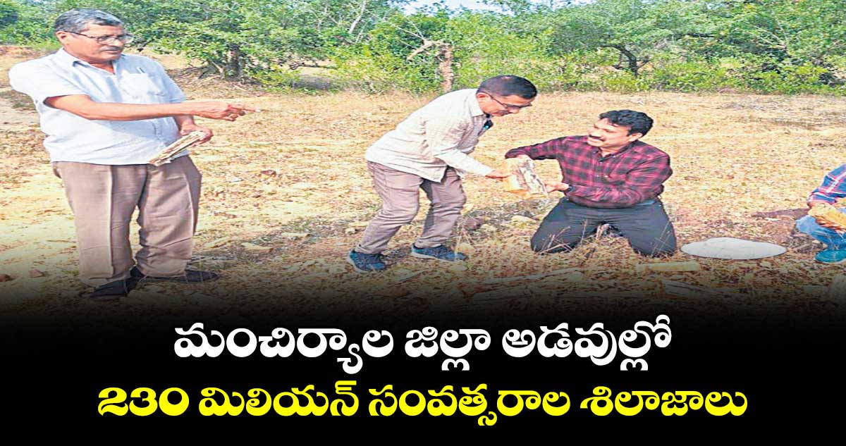 మంచిర్యాల జిల్లా అడవుల్లో  230 మిలియన్ సంవత్సరాల శిలాజాలు