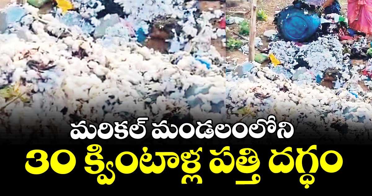 మరికల్ మండలంలోని  30 క్వింటాళ్ల పత్తి దగ్ధం