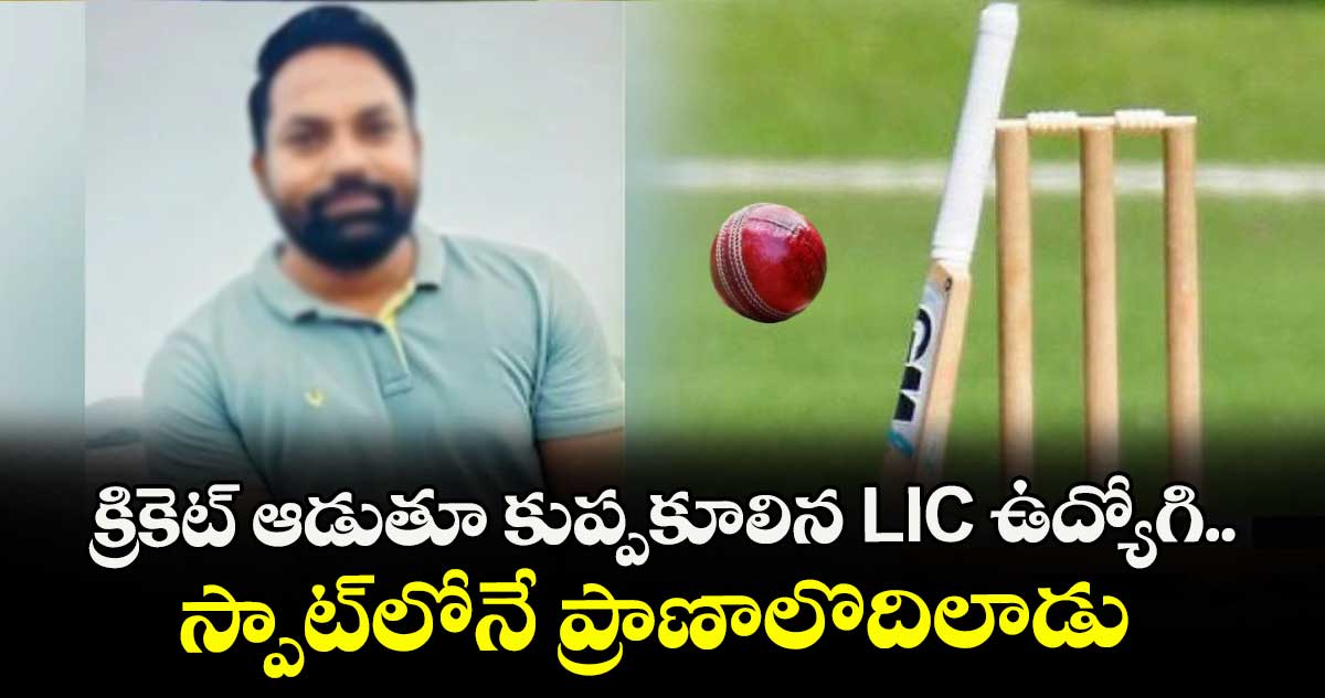 క్రికెట్ ఆడుతూ కుప్పకూలిన LIC ఉద్యోగి.. స్పాట్లోనే ప్రాణాలొదిలాడు