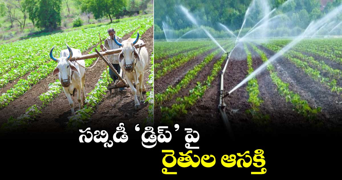 సబ్సిడీ ‘డ్రిప్’ పై రైతుల ఆసక్తి