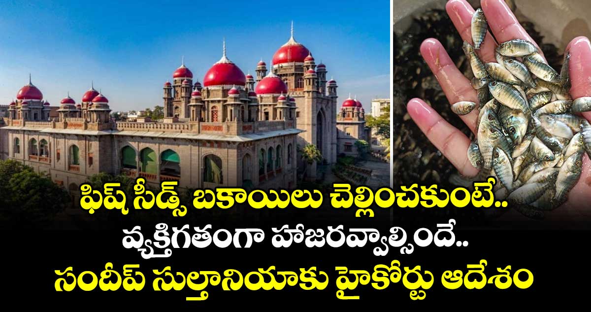 ఫిష్ సీడ్స్ బకాయిలు చెల్లించకుంటే..వ్యక్తిగతంగా హాజరవ్వాల్సిందే..సందీప్ సుల్తానియాకు హైకోర్టు ఆదేశం