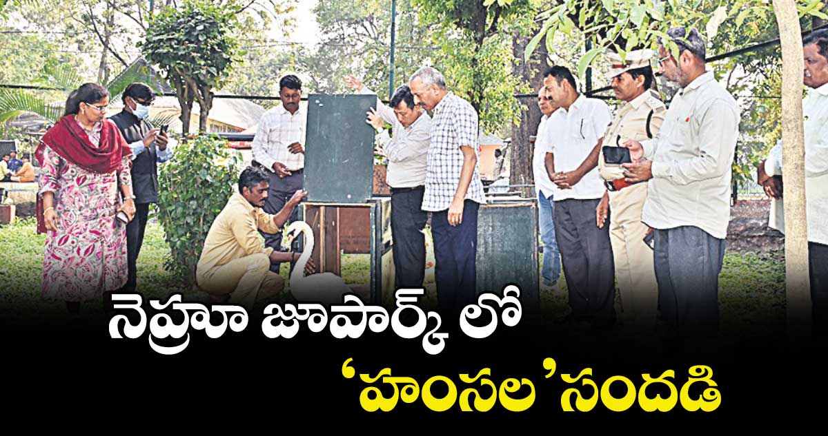 నెహ్రూ జూపార్క్ లో ‘హంసల’ సందడి