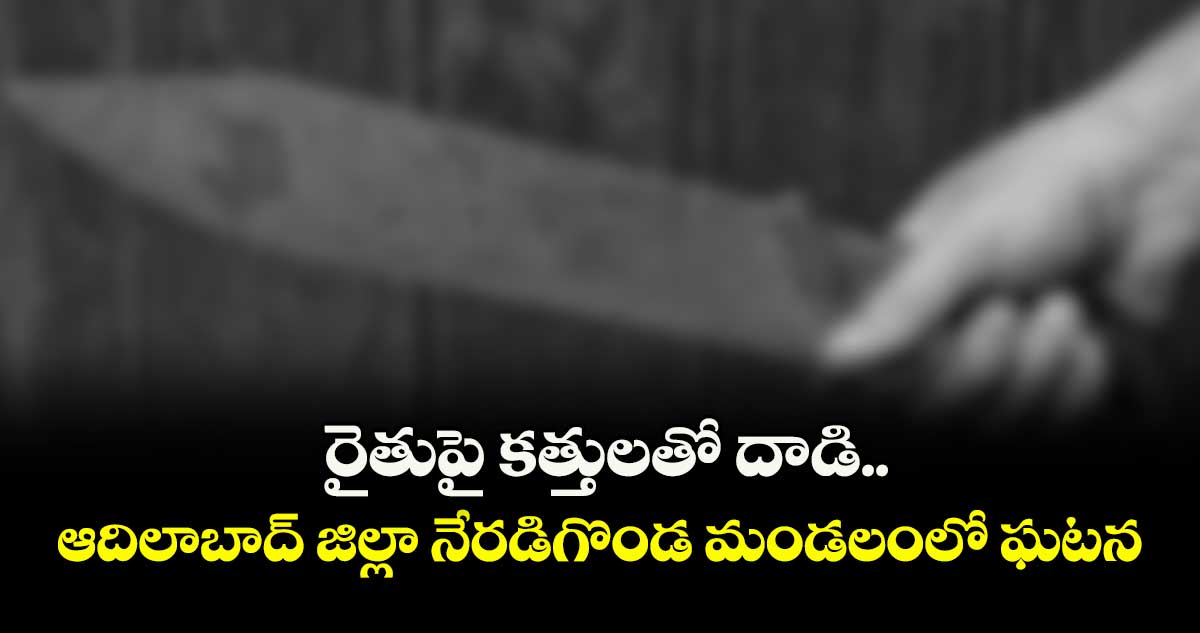రైతుపై  కత్తులతో దాడి.. ఆదిలాబాద్‌‌‌‌ జిల్లా  నేరడిగొండ మండలంలో ఘటన