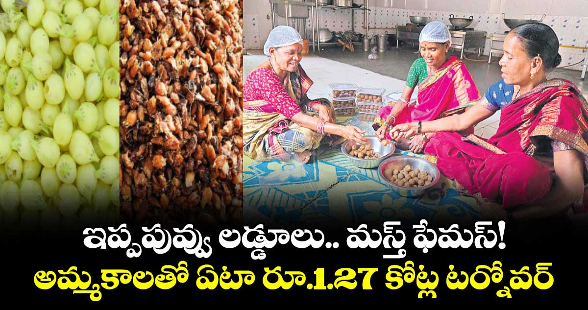 ఇప్పపువ్వు లడ్డూలు..  మస్త్ ఫేమస్! అమ్మకాలతో ఏటా రూ.1.27 కోట్ల టర్నోవర్.. సాధిస్తున్న భీమ్ బాయి  మహిళా సంఘం