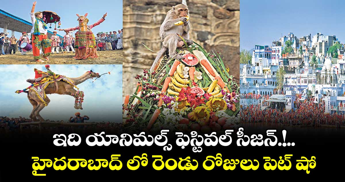 ఇది యానిమల్స్ ఫెస్టివల్ సీజన్.!హైదరాబాద్ లో రెండు రోజులు పెట్ షో