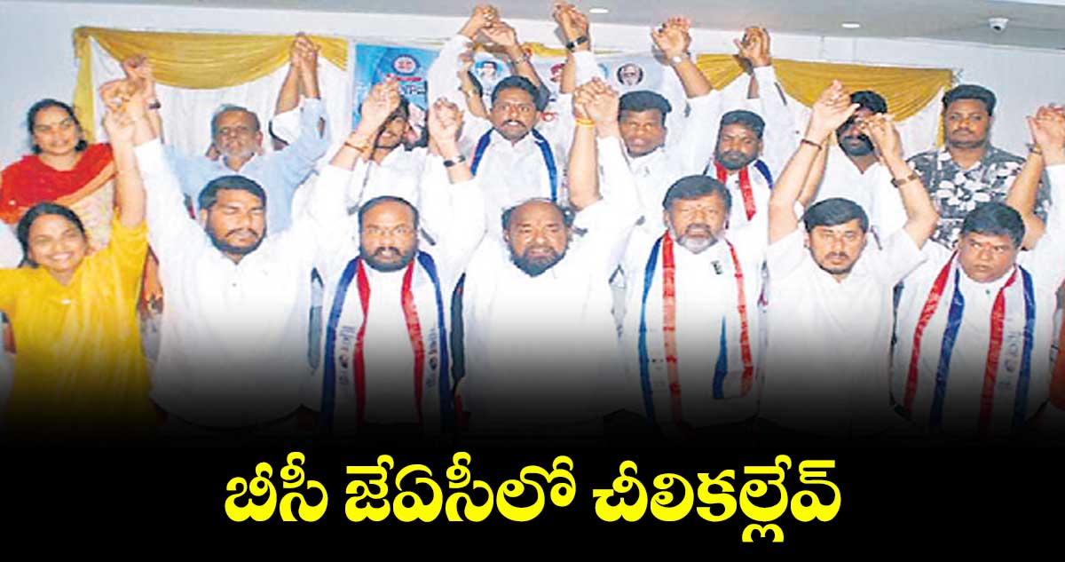 బీసీ జేఏసీలో చీలికల్లేవ్ : ఆర్ కృష్ణయ్య