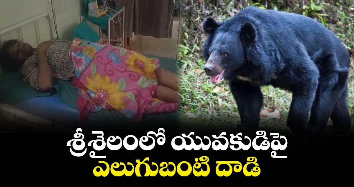శ్రీశైలంలో యువకుడిపై ఎలుగుబంటి దాడి