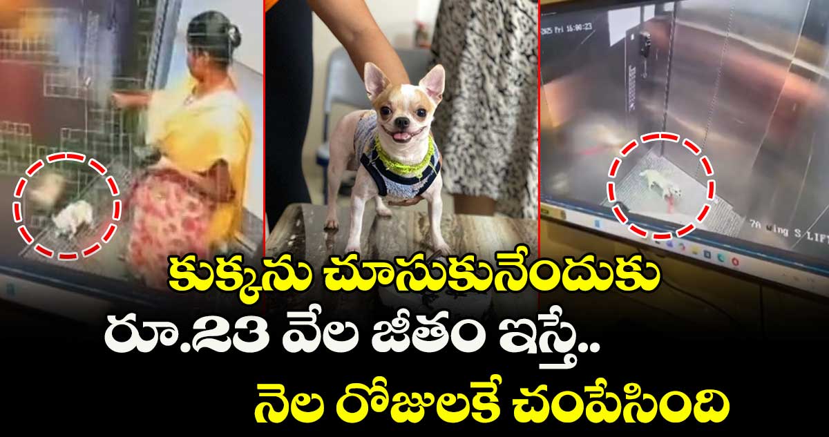 కుక్కను చూసుకునేందుకు రూ.23 వేల జీతం ఇస్తే.. నెల రోజులకే చంపేసింది.. బెంగళూరులో మహిళ అరెస్టు