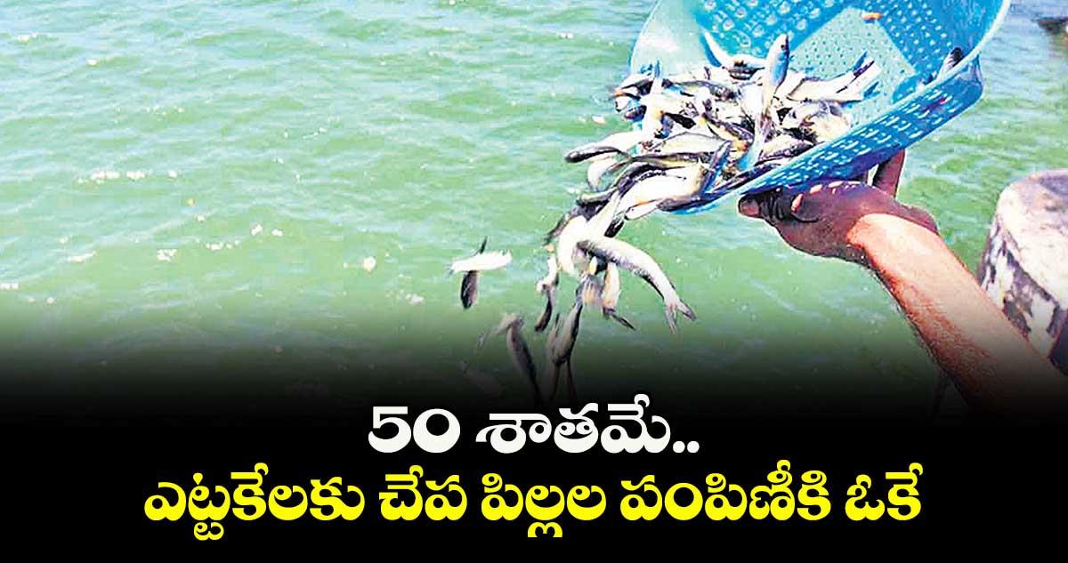 50 శాతమే..  ఎట్టకేలకు చేప పిల్లల పంపిణీకి ఓకే