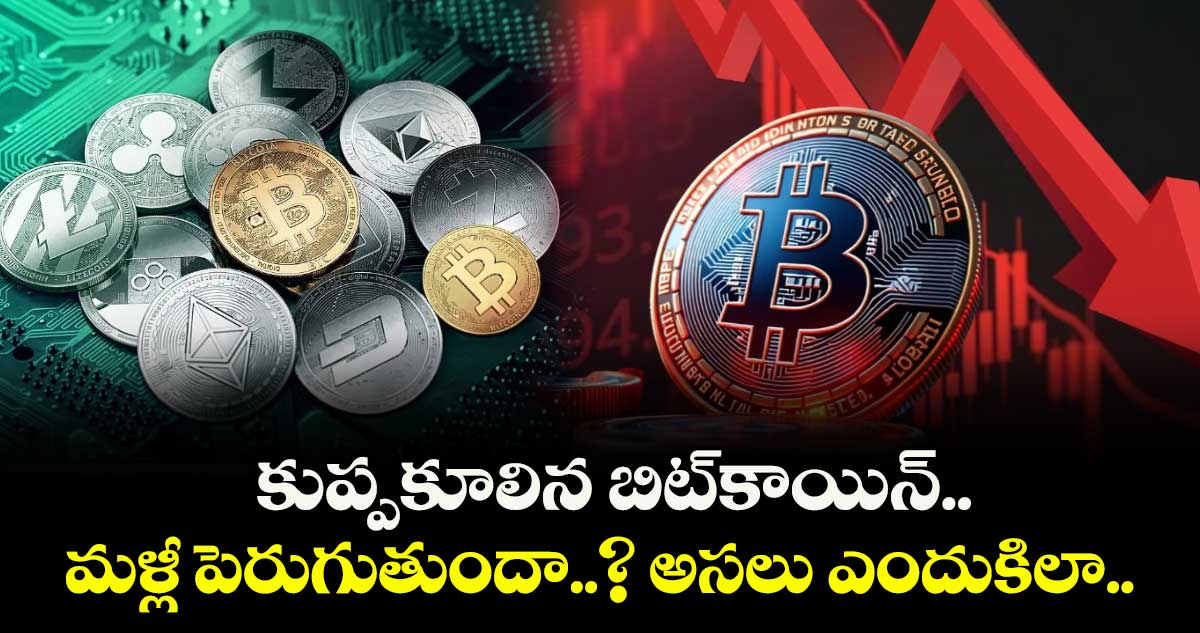 Crypto: కుప్పకూలిన బిట్‌కాయిన్.. మళ్లీ పెరుగుతుందా..? అసలు ఎందుకిలా..