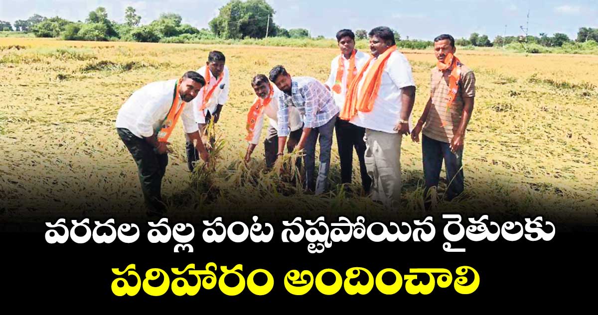  వరదల వల్ల పంట నష్టపోయిన రైతులకు పరిహారం అందించాలి : వెంకటేశం 