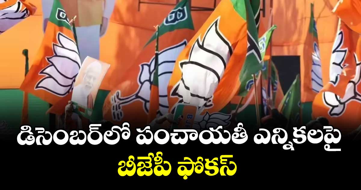 డిసెంబర్‌‌‌‌‌‌‌‌లో  పంచాయతీ ఎన్నికలపై బీజేపీ ఫోకస్