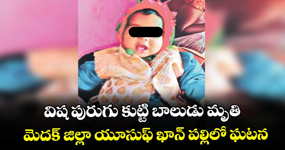 విష పురుగు కుట్టి బాలుడు మృతి ...మెదక్ జిల్లా యూసుఫ్ ఖాన్ పల్లిలో ఘటన