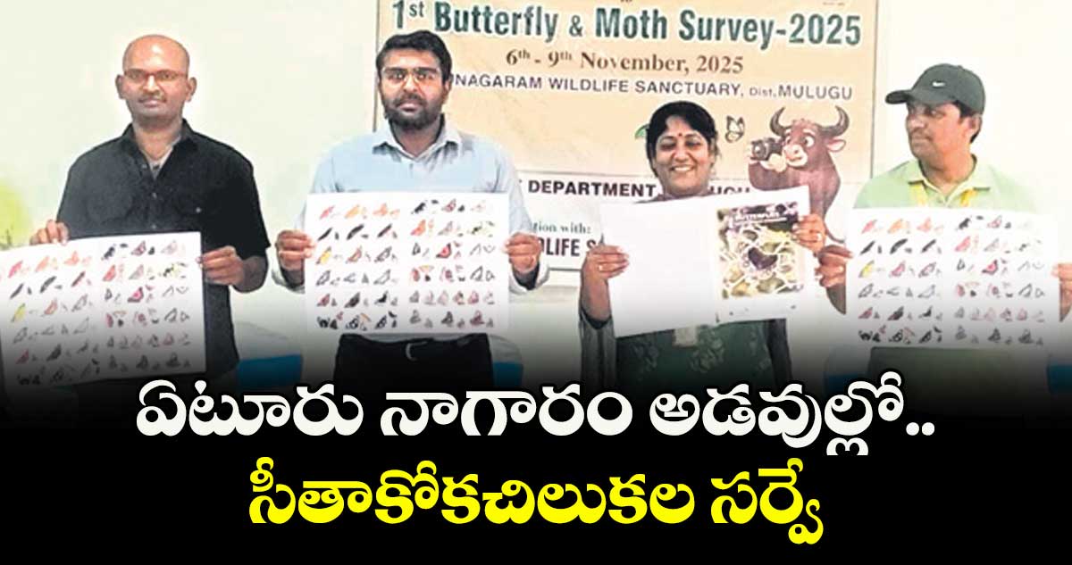 ఏటూరు నాగారం అడవుల్లో  సీతాకోకచిలుకల సర్వే  