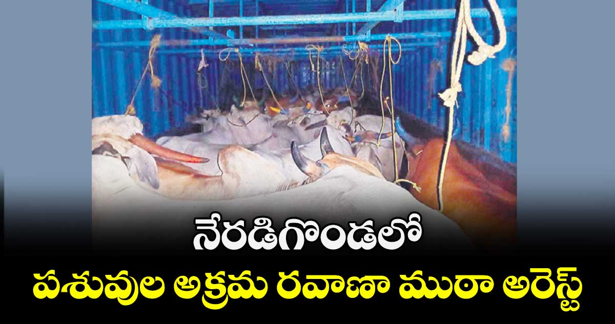 నేరడిగొండలో పశువుల అక్రమ రవాణా ముఠా అరెస్ట్