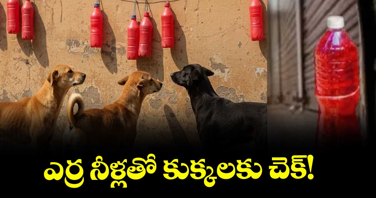 ఎర్ర నీళ్లతో కుక్కలకు చెక్!