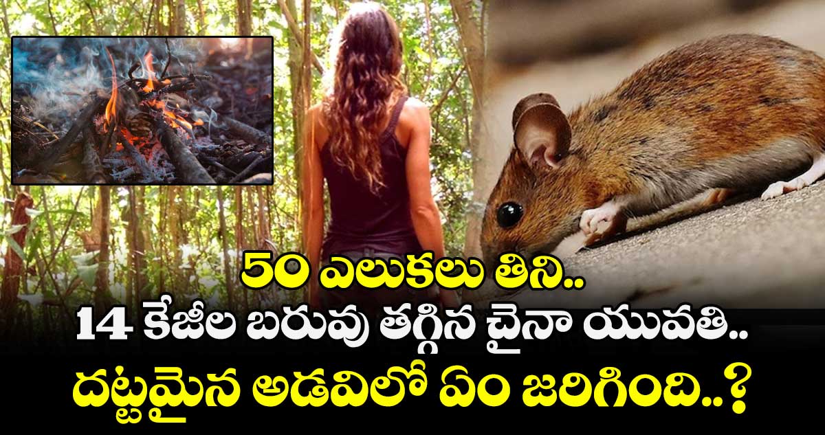 50 ఎలుకలు తిని.. 14 కేజీల బరువు తగ్గిన చైనా యువతి.. దట్టమైన అడవిలో ఏం జరిగింది..?