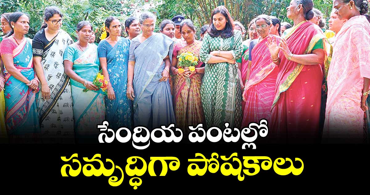 సేంద్రియ పంటల్లో సమృద్ధిగా పోషకాలు : కలెక్టర్ ప్రావీణ్య