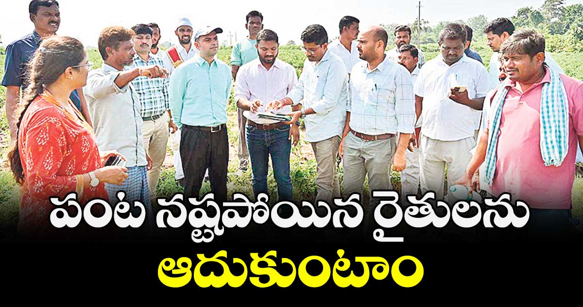 పంట నష్టపోయిన రైతులను ఆదుకుంటాం : కలెక్టర్ రాహుల్ శర్మ 