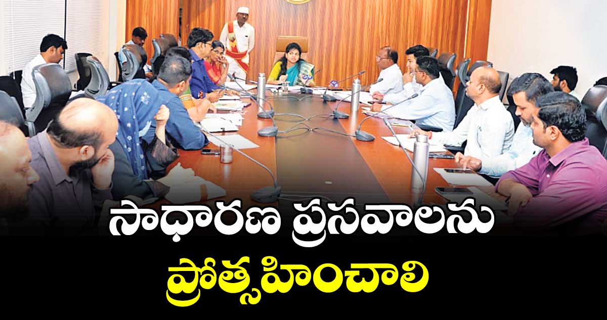 సాధారణ ప్రసవాలను ప్రోత్సహించాలి : కలెక్టర్ స్నేహ శబరీశ్