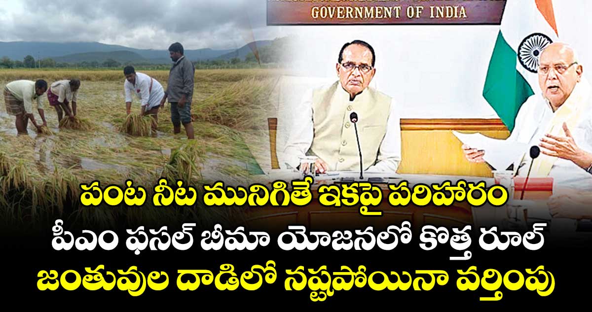 పంట నీట మునిగితే ఇకపై పరిహారం.. పీఎం ఫసల్ బీమా యోజనలో కొత్త రూల్.. జంతువుల దాడిలో నష్టపోయినా వర్తింపు