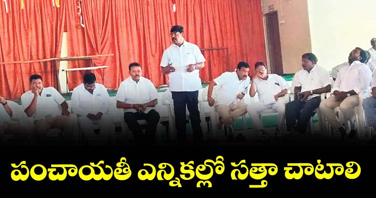పంచాయతీ ఎన్నికల్లో సత్తా చాటాలి : శ్రీనివాస్ రెడ్డి