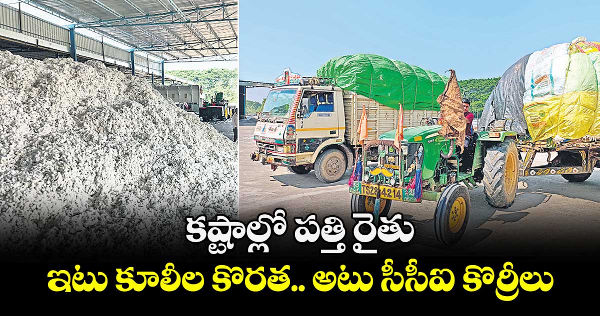 కష్టాల్లో పత్తి రైతు.. ఇటు కూలీల కొరత..  అటు సీసీఐ కొర్రీలు 