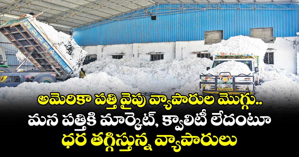 అమెరికా పత్తి వైపు వ్యాపారుల మొగ్గు..మన పత్తికి మార్కెట్‌‌‌‌, క్వాలిటీ లేదంటూ ధర తగ్గిస్తున్న వ్యాపారులు