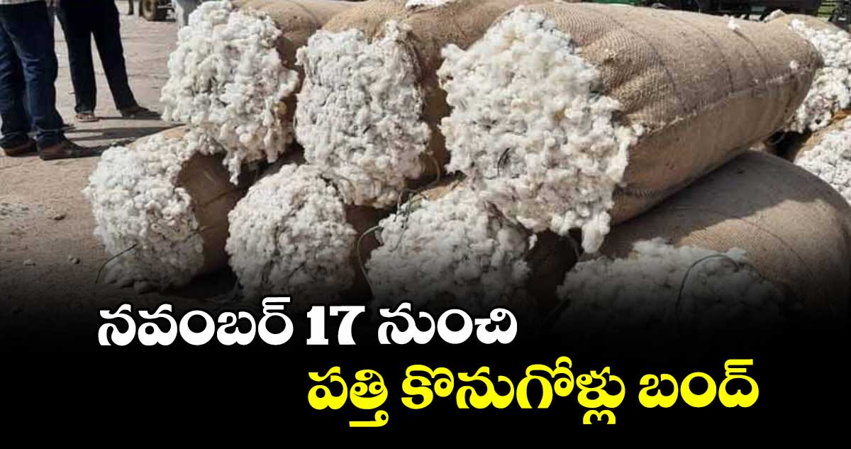 నవంబర్ 17 నుంచి పత్తి కొనుగోళ్లు బంద్
