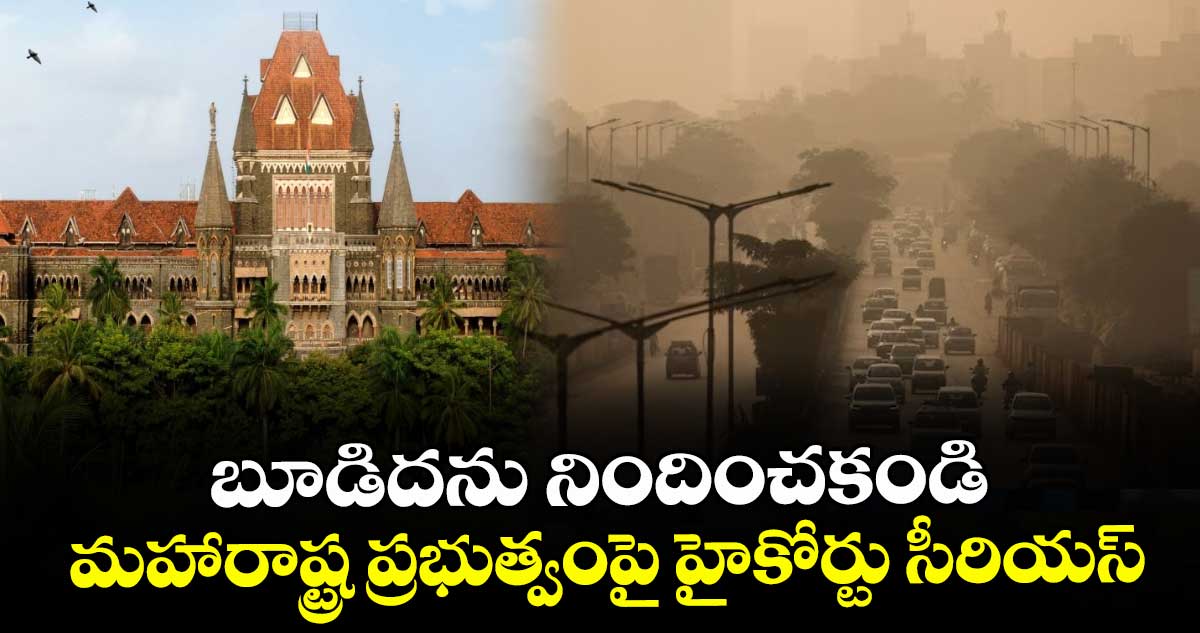 బూడిదను నిందించకండి: మహారాష్ట్ర ప్రభుత్వంపై హైకోర్టు సీరియస్