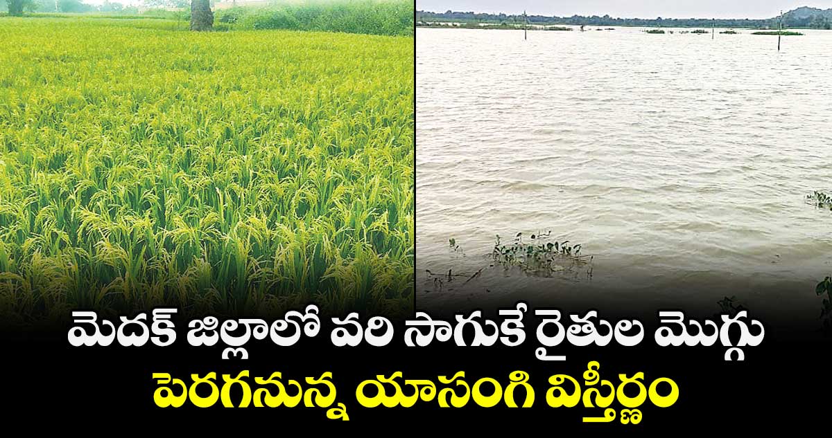  మెదక్ జిల్లాలో వరి సాగుకే రైతుల మొగ్గు..పెరగనున్న యాసంగి విస్తీర్ణం 