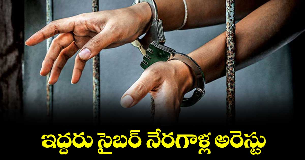 ఇద్దరు సైబర్ నేరగాళ్ల అరెస్టు