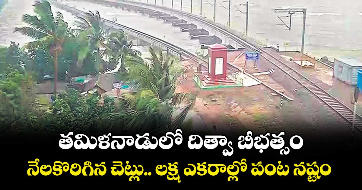 తమిళనాడులో దిత్వా బీభత్సం.. నేలకొరిగిన చెట్లు.. లక్ష ఎకరాల్లో పంట నష్టం