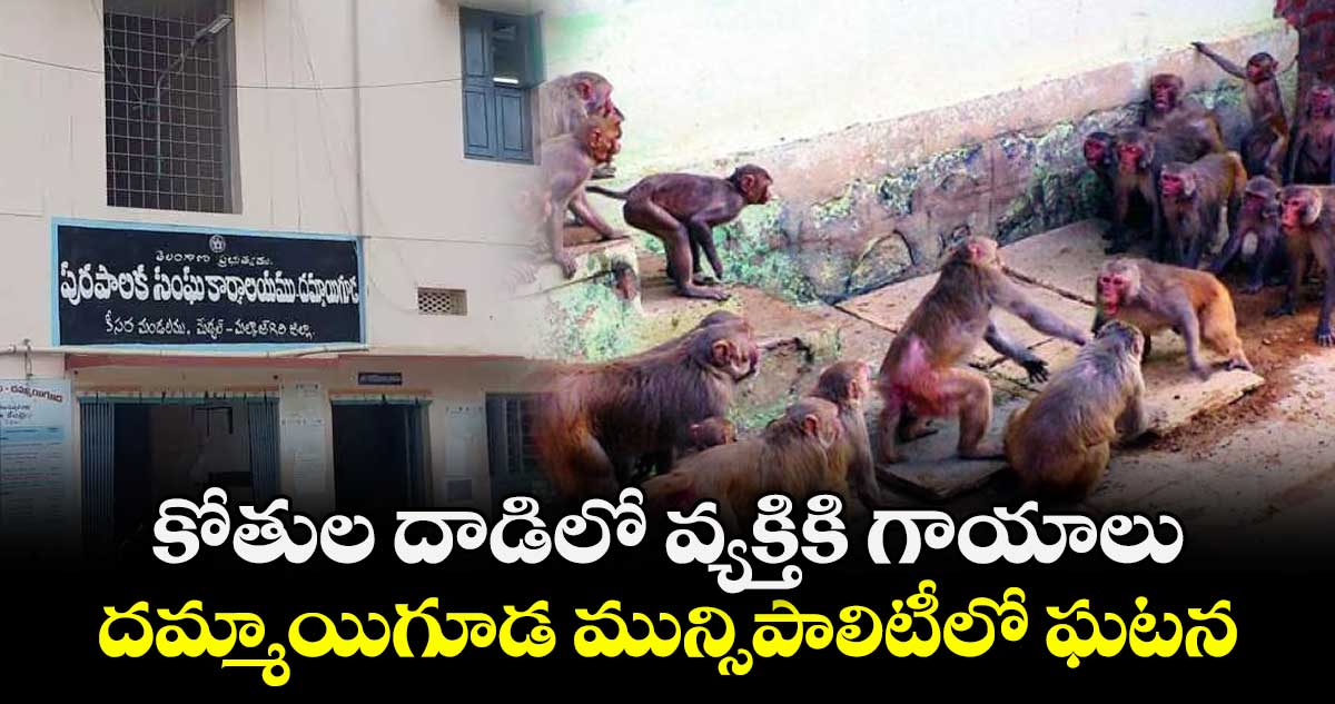 కోతుల దాడిలో వ్యక్తికి గాయాలు ..దమ్మాయిగూడ మున్సిపాలిటీలో ఘటన